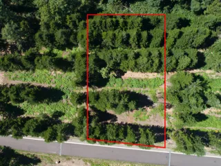 Screen Shot 2022-11-28 at 11.32.08 AM